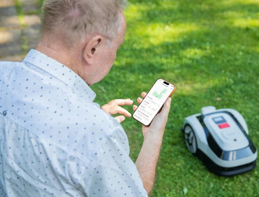 How to Use a Robot Lawn Mower in Fall: Schedule, Cutting Height & Maintenance