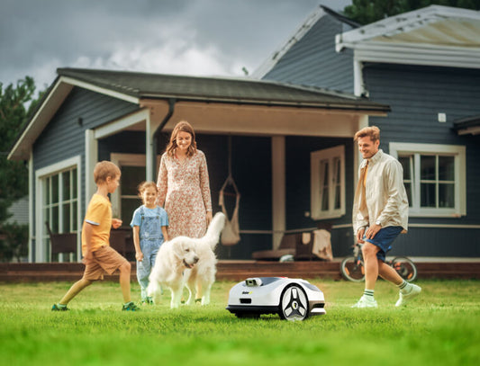 Meet Raccoon 2 SE: Finally, a Robot Lawn Mower Made for Small Gardens, Without the Tech Headaches