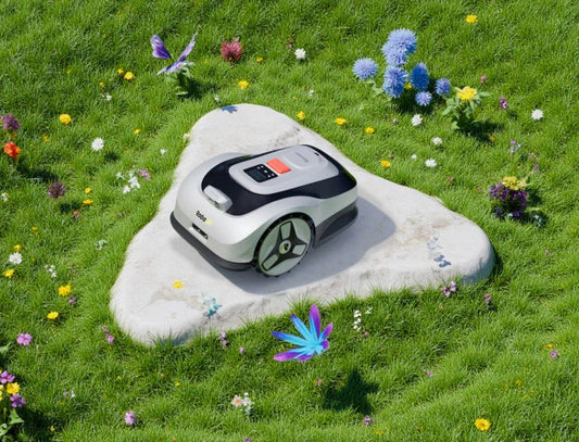 Raccoon 2 SE Origins: Why We Named Our Robot Mower Raccoon