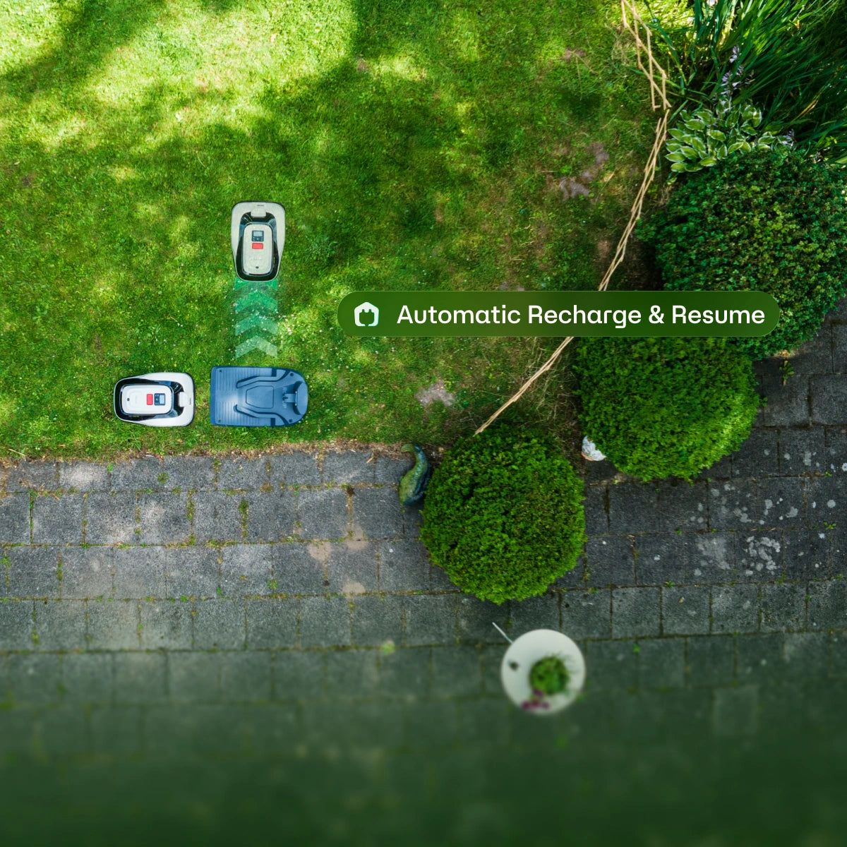 Appstyrning och zonkarta RoboUP Raccoon robotgräsklippare