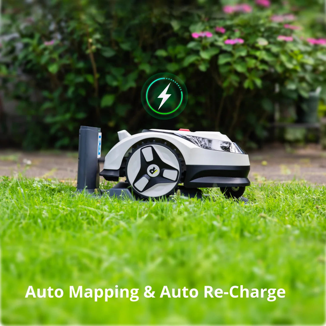 RoboUP Raccoon 2 SE Robot Lawn Mower